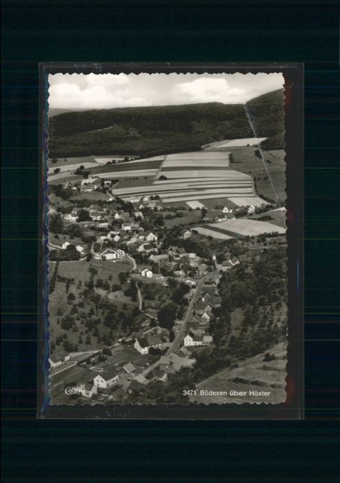 Boedexen öxter Fliegeraufnahme *