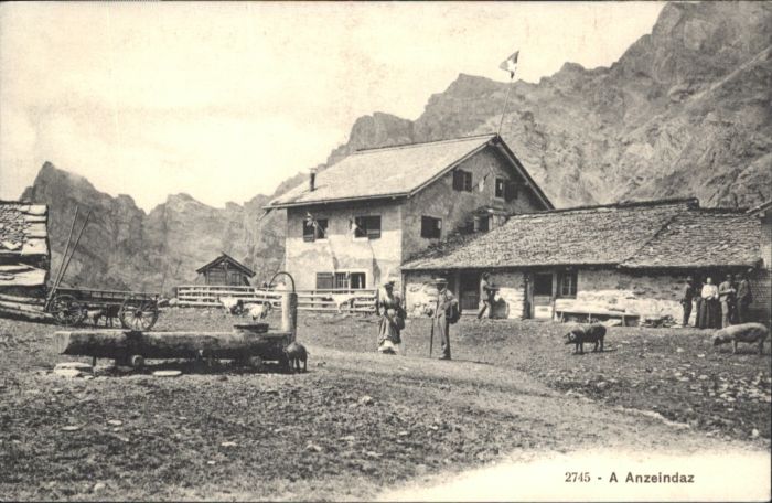 Anzeindaz Brunnen Schwein