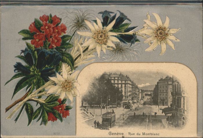 Genf GE Genf Rue du Montblanc Blumen Litho