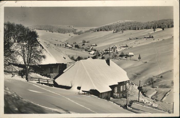 Todtnauberg Schwarzwald BW Stuebenwasen