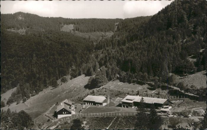 Fahl Feldberg Gasthof Pension Adler