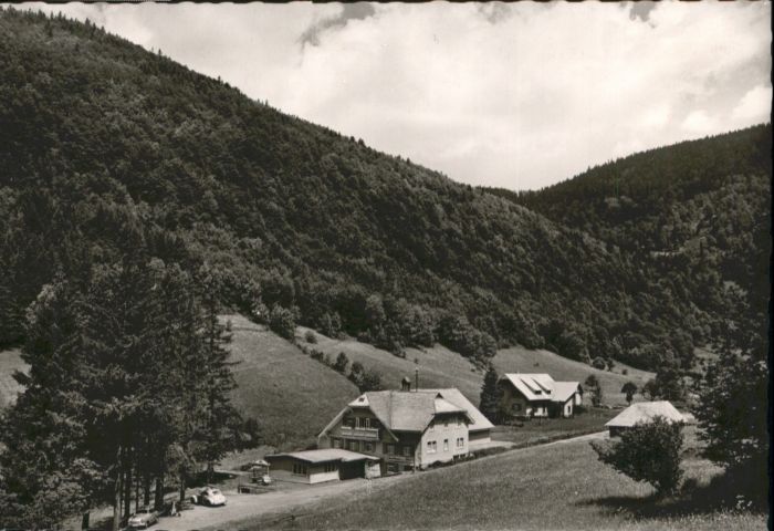 Fahl Feldberg Gasthaus Pension Adler
