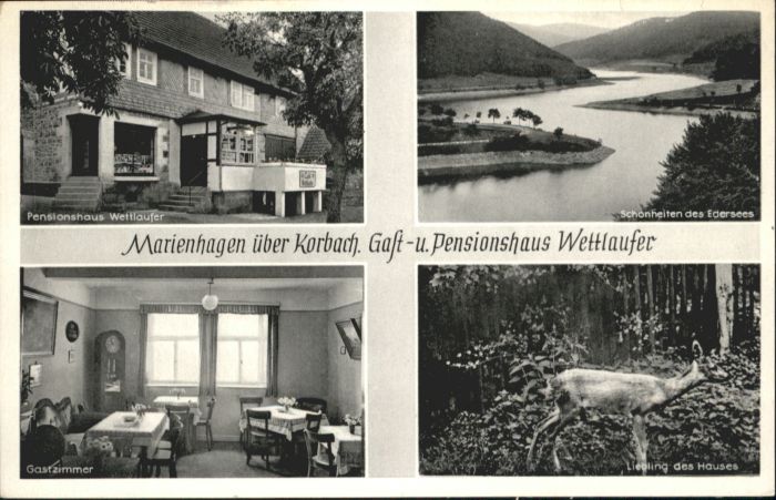 Marienhagen Korbach Gasthaus Pension Wettlaufer Edersee Reh