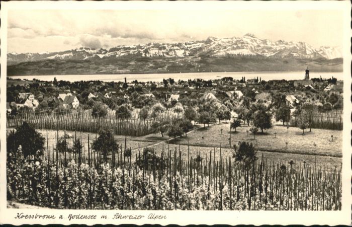 Kressbronn Bodensee Schweizer Alpen