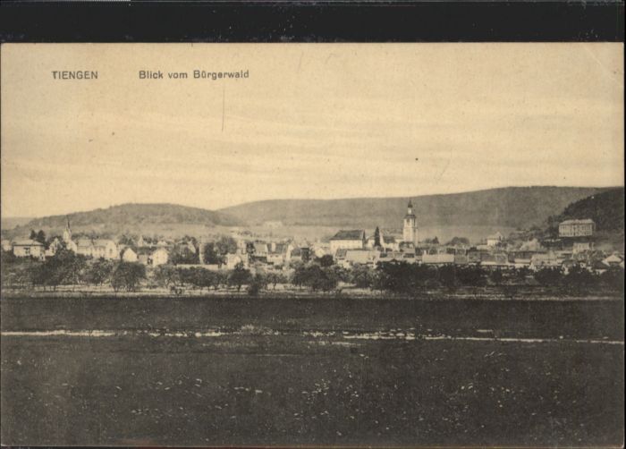 Waldshut Tiengen Rhein Waldshut-Tiengen