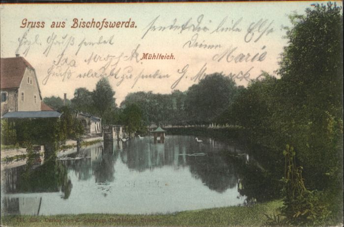 Bischofswerda Mühlteich  Schwan