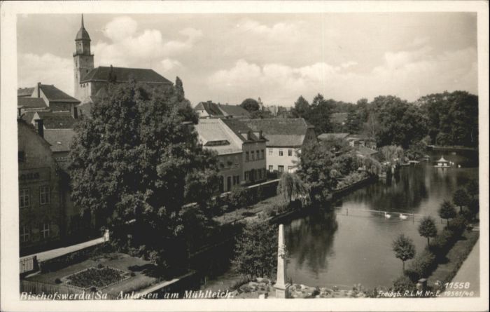 Bischofswerda Mühlteich Schwan