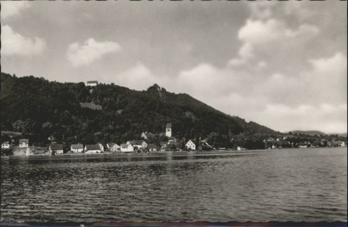 Bodman-Ludwigshafen Schloss Frauenberg Ruine Bodman
