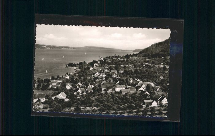 Bodman-Ludwigshafen Fliegeraufnahme