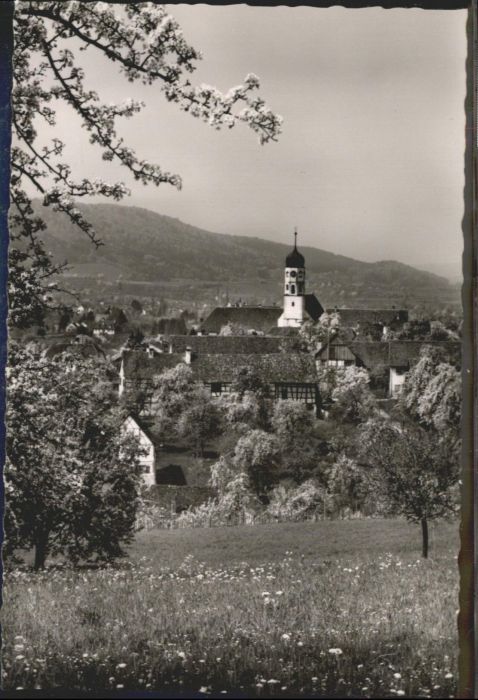 Oehningen Bodensee Untersee
