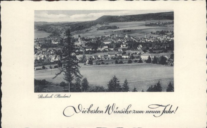 Stockach Baden KONSTANZ BW Neuen Jahr