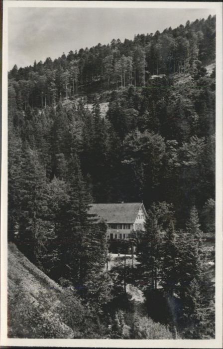 Ottenhoefen Schwarzwald Pension Wolfsbrunnen
