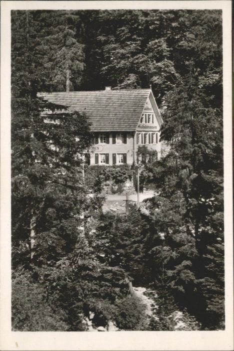 Seebach Ortenaukreis Pension Wolfsbrunnen