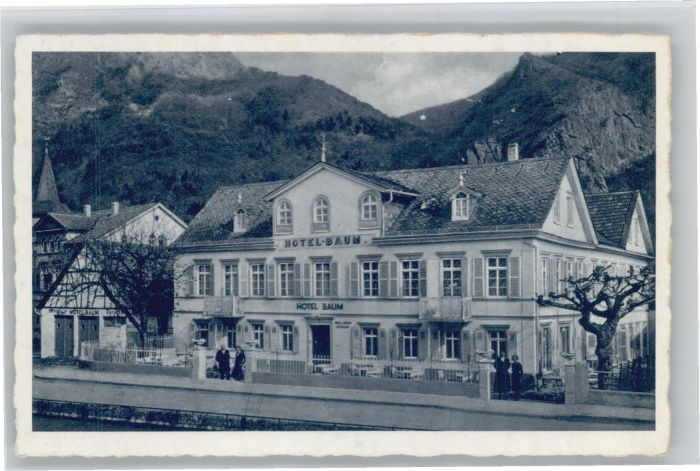 Bad Muenster Stein Ebernburg Bad Muenster Hotel Baum