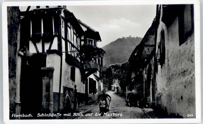 Hambach Weinstrasse Maxburg