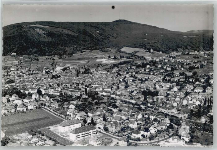 Neustadt Weinstrasse Fliegeraufnahme