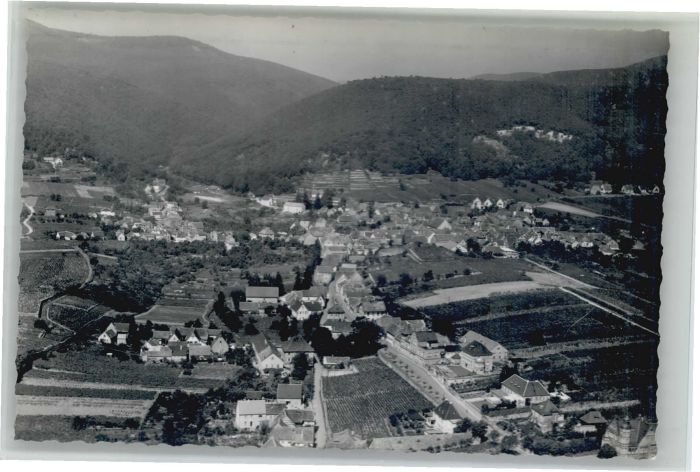 Gimmeldingen Neustadt Weinstrasse Rheinland-Pfalz Fliegeraufnahme