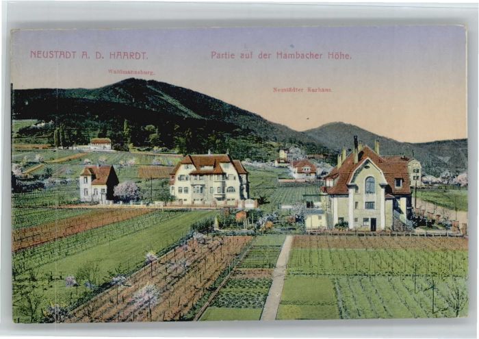 Neustadt Weinstrasse Hambacher Höhe