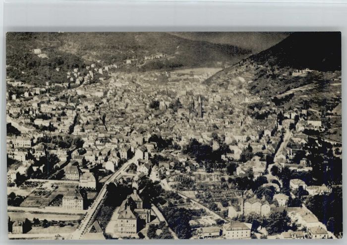 Neustadt Weinstrasse Fliegeraufnahme