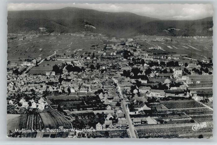 Mussbach Fliegeraufnahme