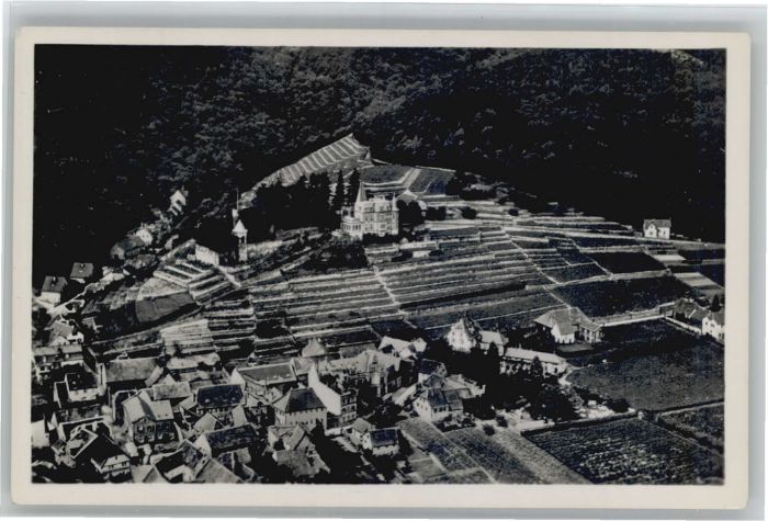 Haardt Weinstrasse Schlösschen Fliegeraufnahme