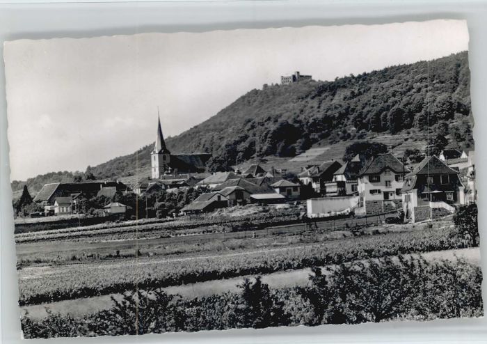 Hambach Weinstrasse Maxburg