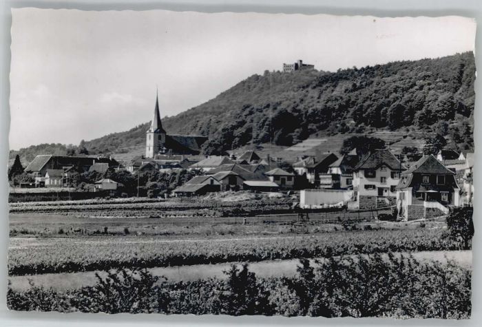 Hambach Weinstrasse Maxburg