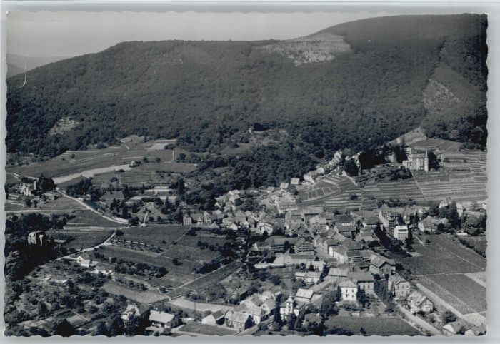 Neustadt Weinstrasse Fliegeraufnahme