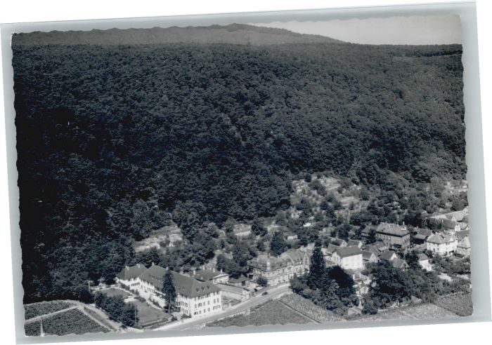 Neustadt Weinstrasse Fliegeraufnahme