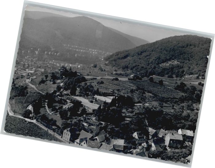 Neustadt Weinstrasse Fliegeraufnahme