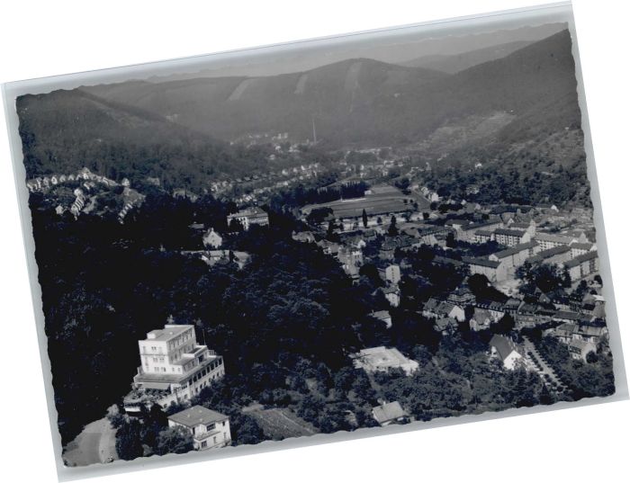 Neustadt Weinstrasse Fliegeraufnahme