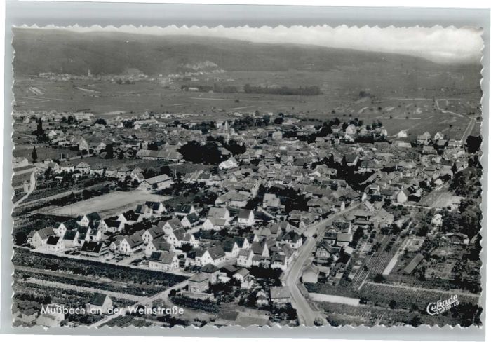 Mussbach Fliegeraufnahme