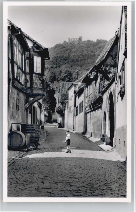 Hambach Weinstrasse Maxburg