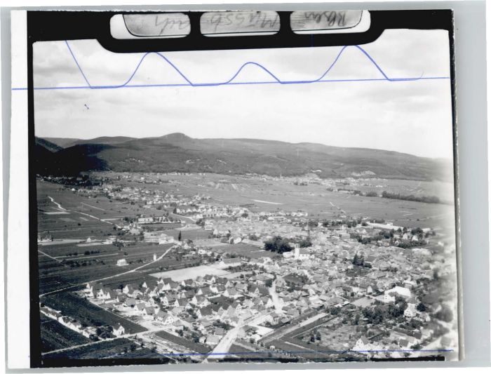 Mussbach Fliegeraufnahme