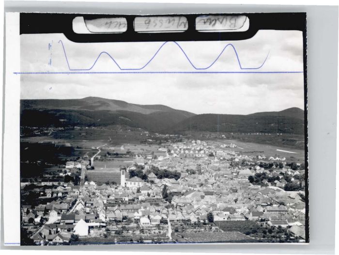 Mussbach Fliegeraufnahme