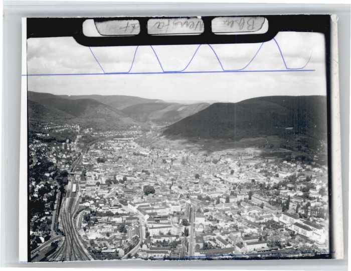 Neustadt Weinstrasse Fliegeraufnahme