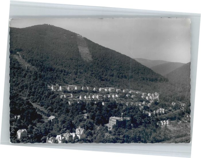 Neustadt Weinstrasse Fliegeraufnahme