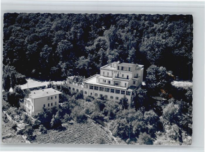 Neustadt Weinstrasse Fliegeraufnahme