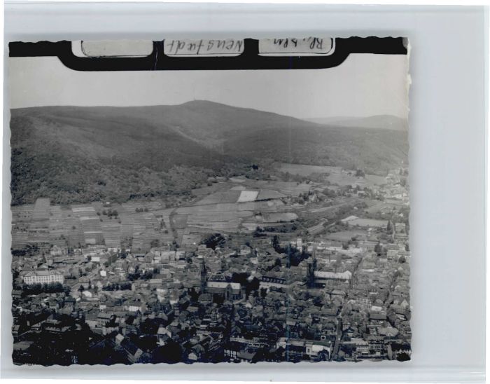 Neustadt Weinstrasse Fliegeraufnahme