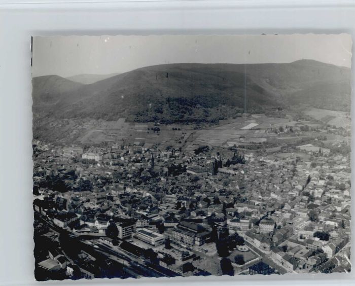 Neustadt Weinstrasse Fliegeraufnahme