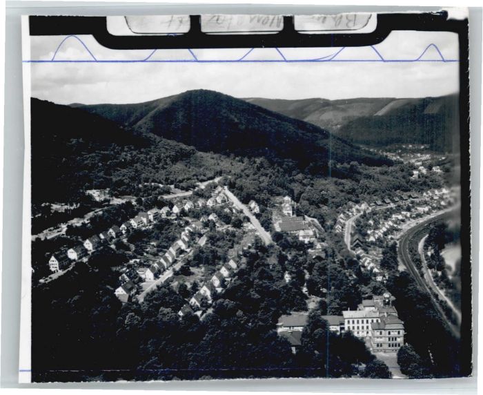 Neustadt Weinstrasse Fliegeraufnahme