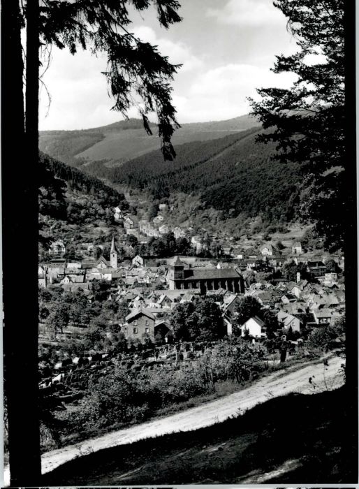 Lambrecht Lurhbachtal