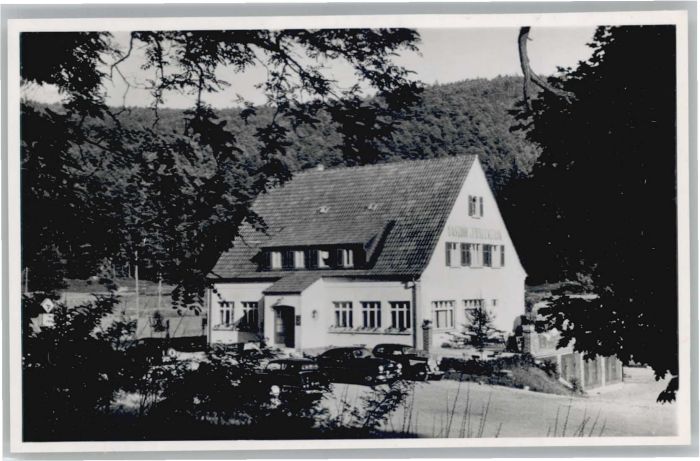 Hinterweidenthal Gasthof am Frauenstein