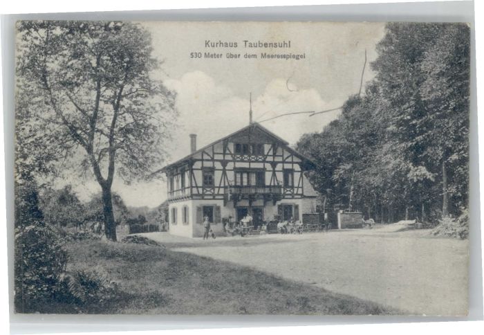 Rinnthal [Stempelabschlag] Kurhaus Taubensuhl