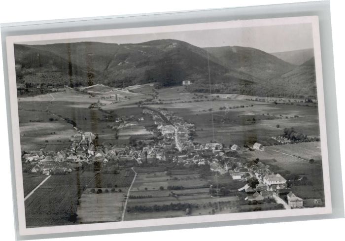 Rhodt Rietburg Fliegeraufnahme