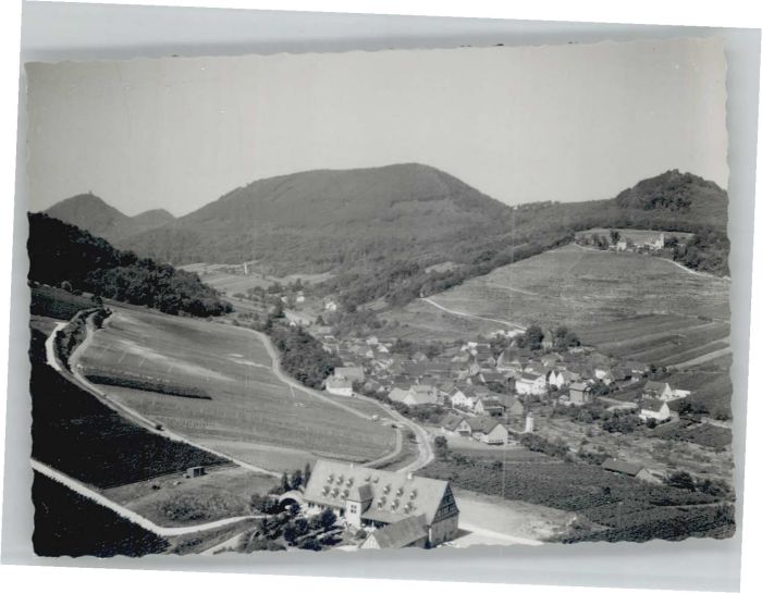 Leinsweiler Fliegeraufnahme