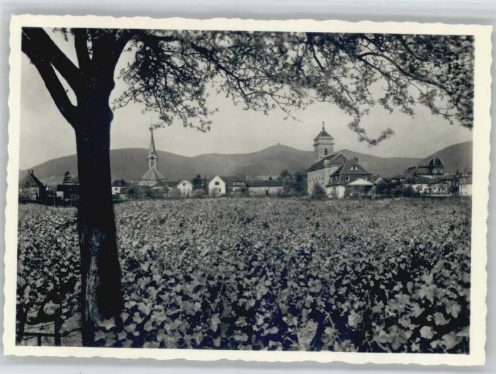 Maikammer Maikammer-Alsterweiler