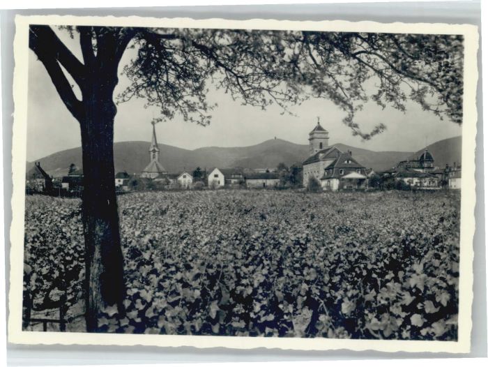 Maikammer Maikammer-Alsterweiler