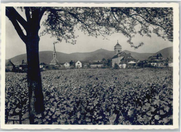 Maikammer Maikammer-Alsterweiler