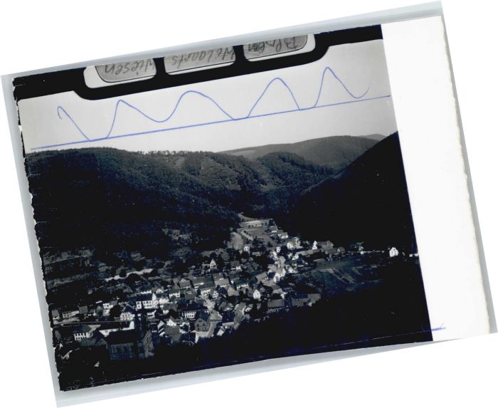 Wilgartswiesen Fliegeraufnahme